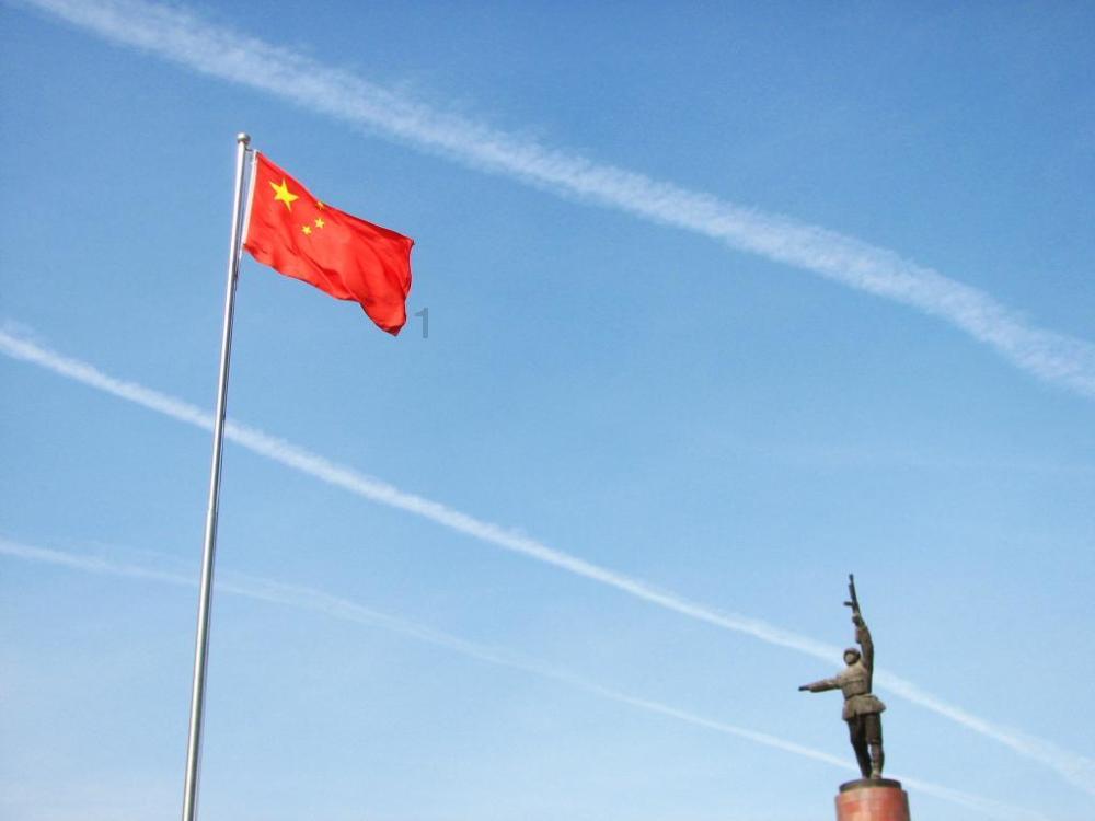 救援达尔马提亚狗